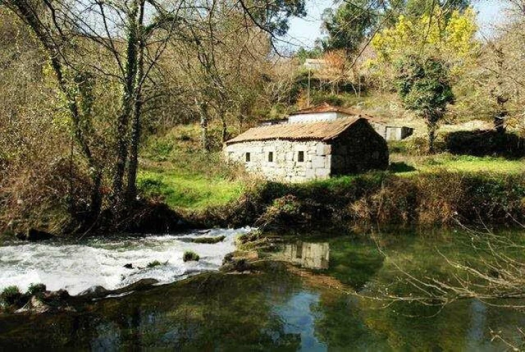 Quinta T1 para Venda em Formariz e Ferreira Foto 4
