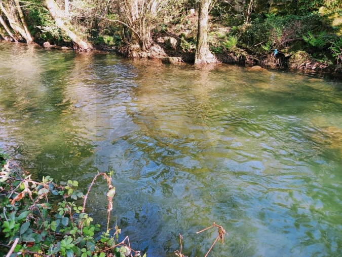 Quinta T1 para Venda em Formariz e Ferreira Foto 6