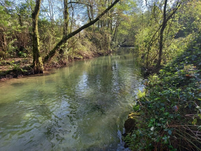 Quinta T1 para Venda em Formariz e Ferreira Foto 9