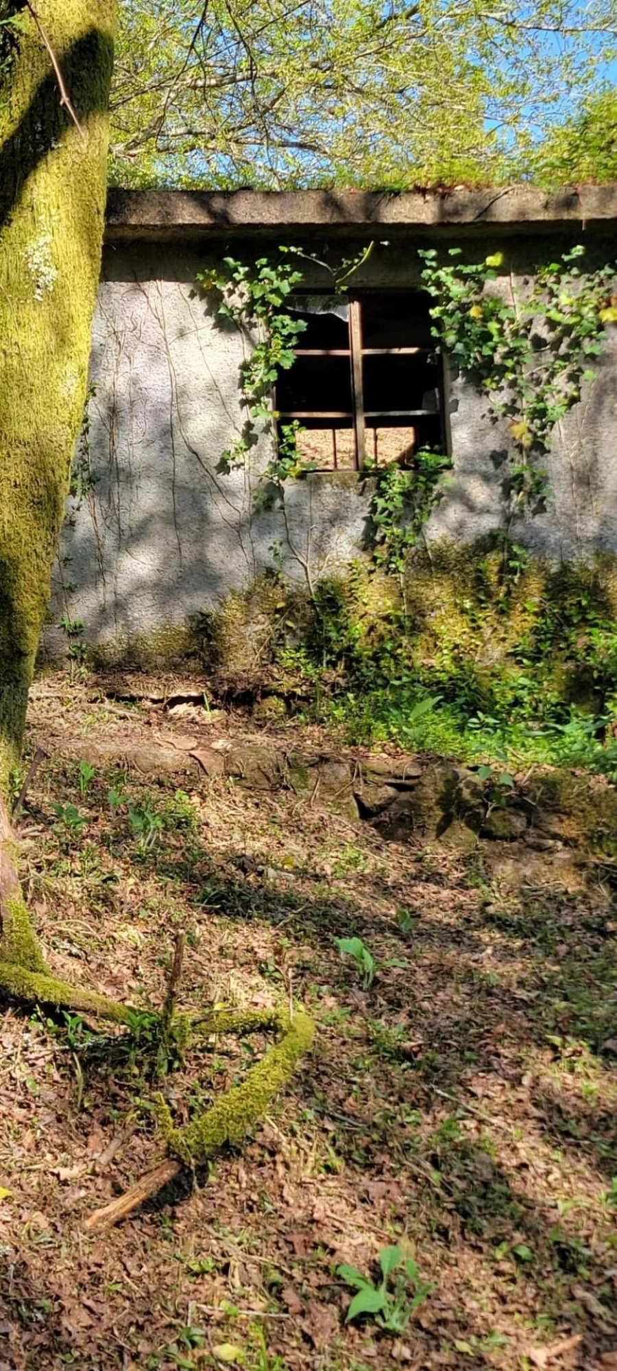 Quinta T1 para Venda em Formariz e Ferreira Foto 26