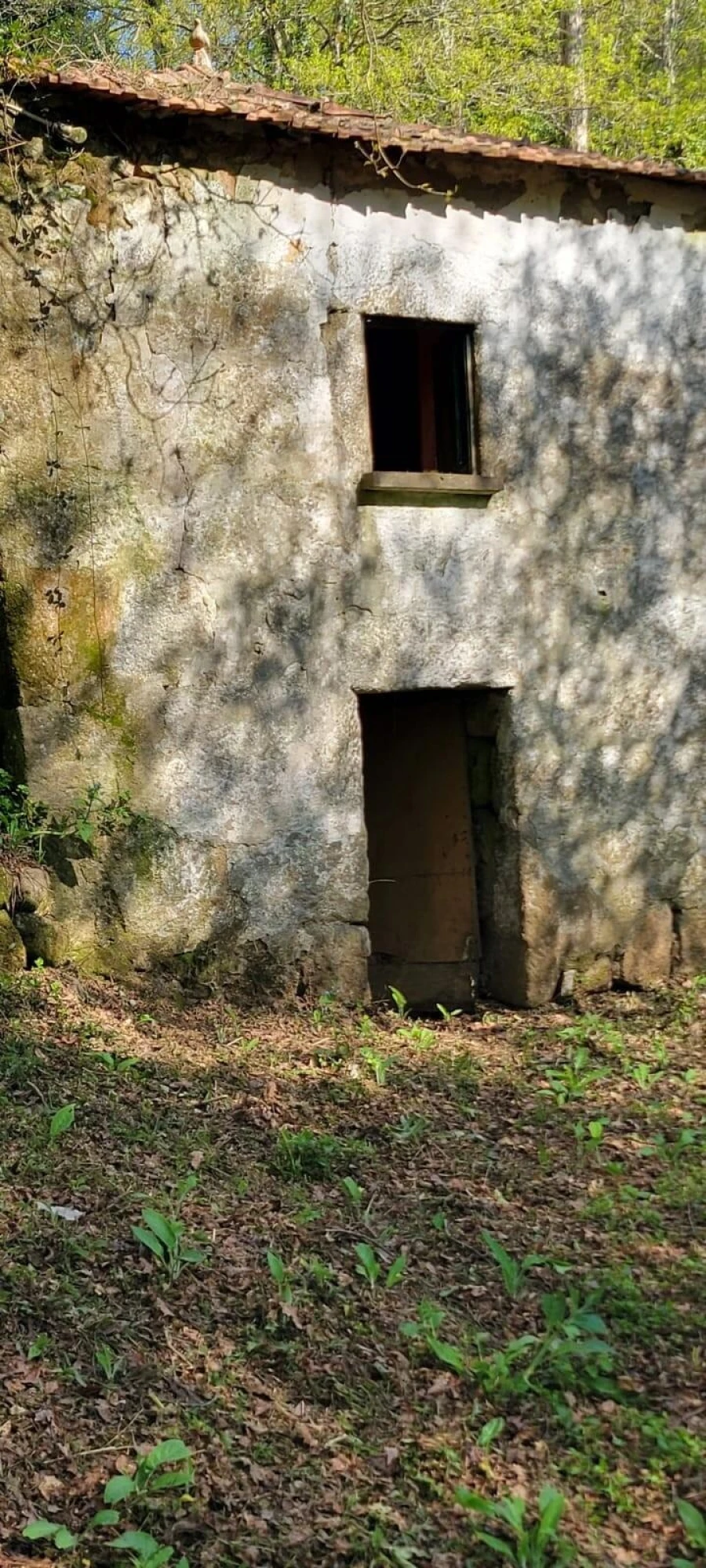 Quinta T1 para Venda em Formariz e Ferreira Foto 24