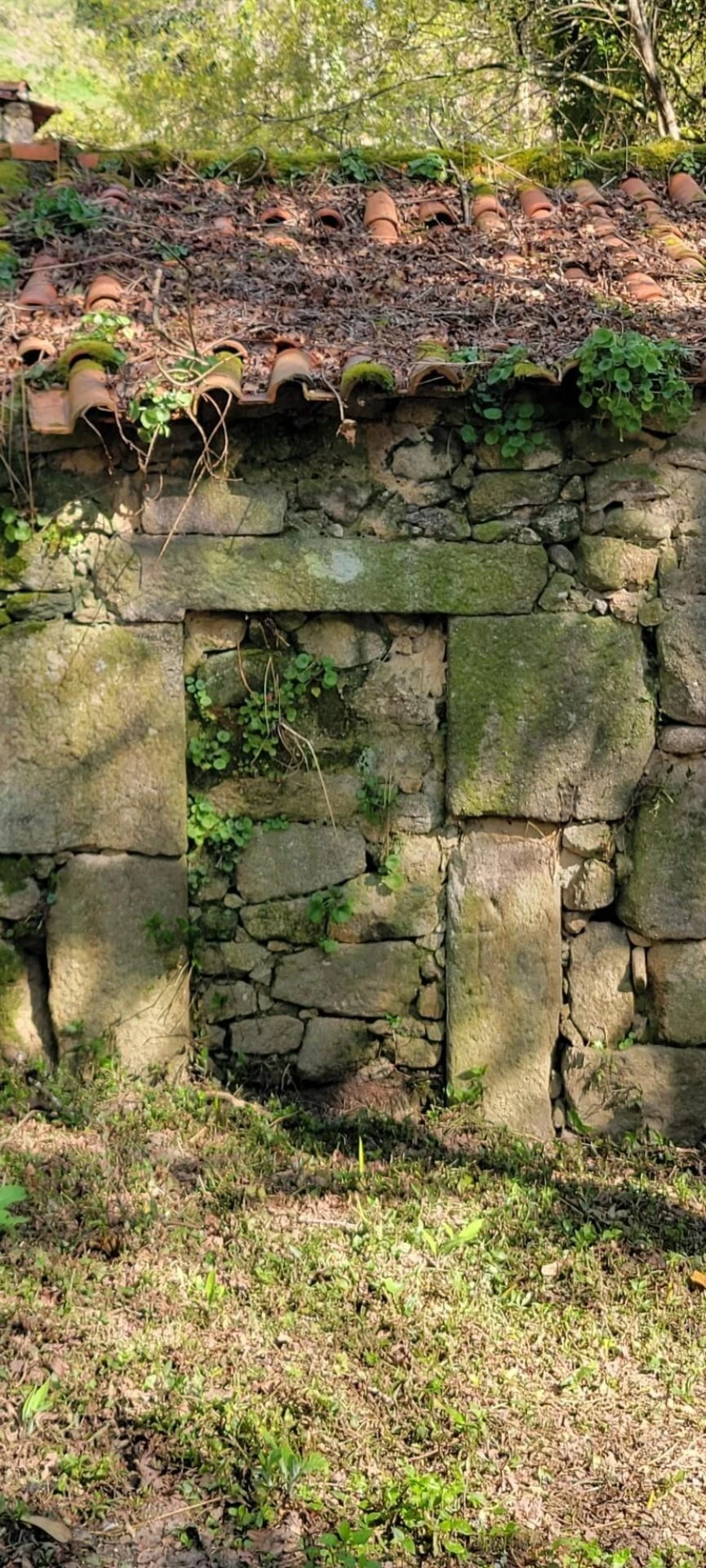 Quinta T1 para Venda em Formariz e Ferreira Foto 33