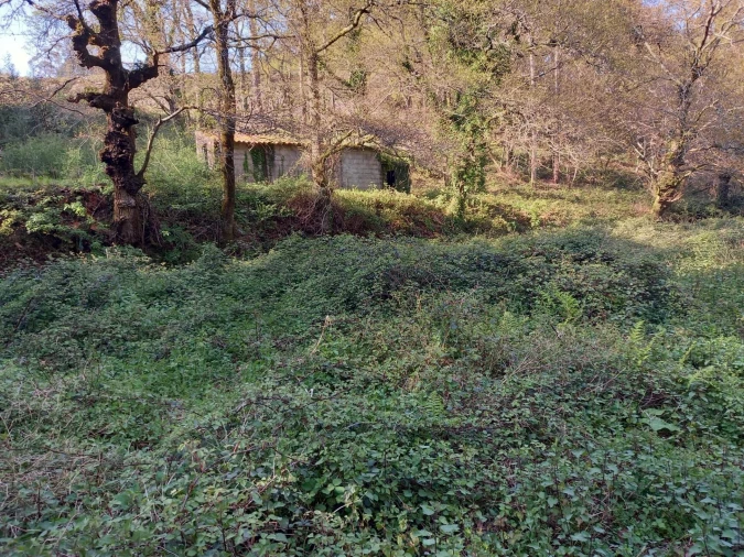 Quinta T1 para Venda em Formariz e Ferreira Foto 7