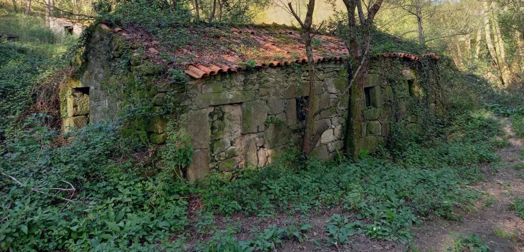 Quinta T1 para Venda em Formariz e Ferreira Foto 12