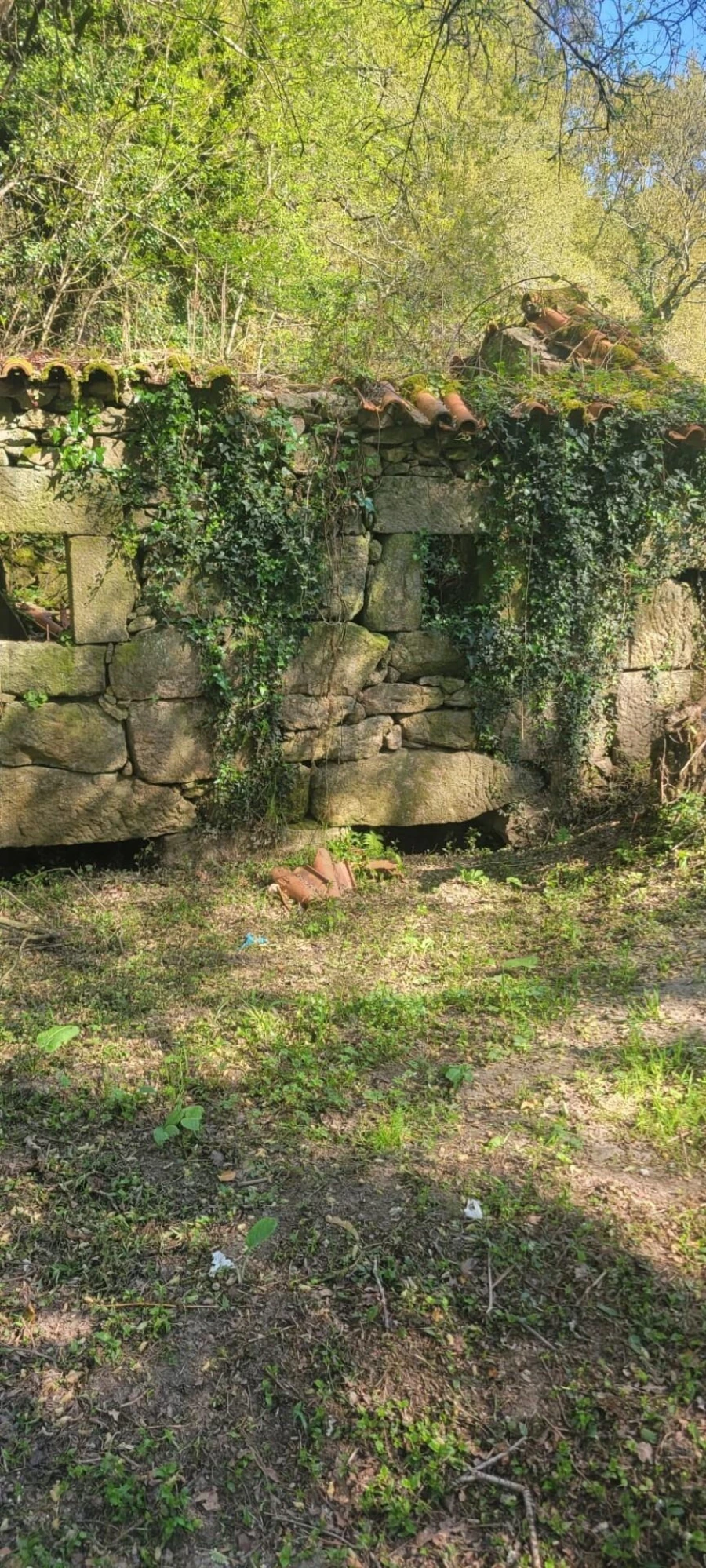 Quinta T1 para Venda em Formariz e Ferreira Foto 31