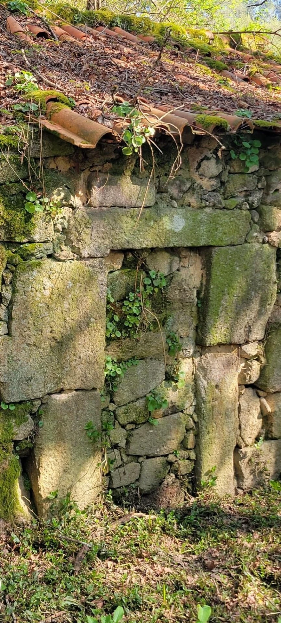 Quinta T1 para Venda em Formariz e Ferreira Foto 27