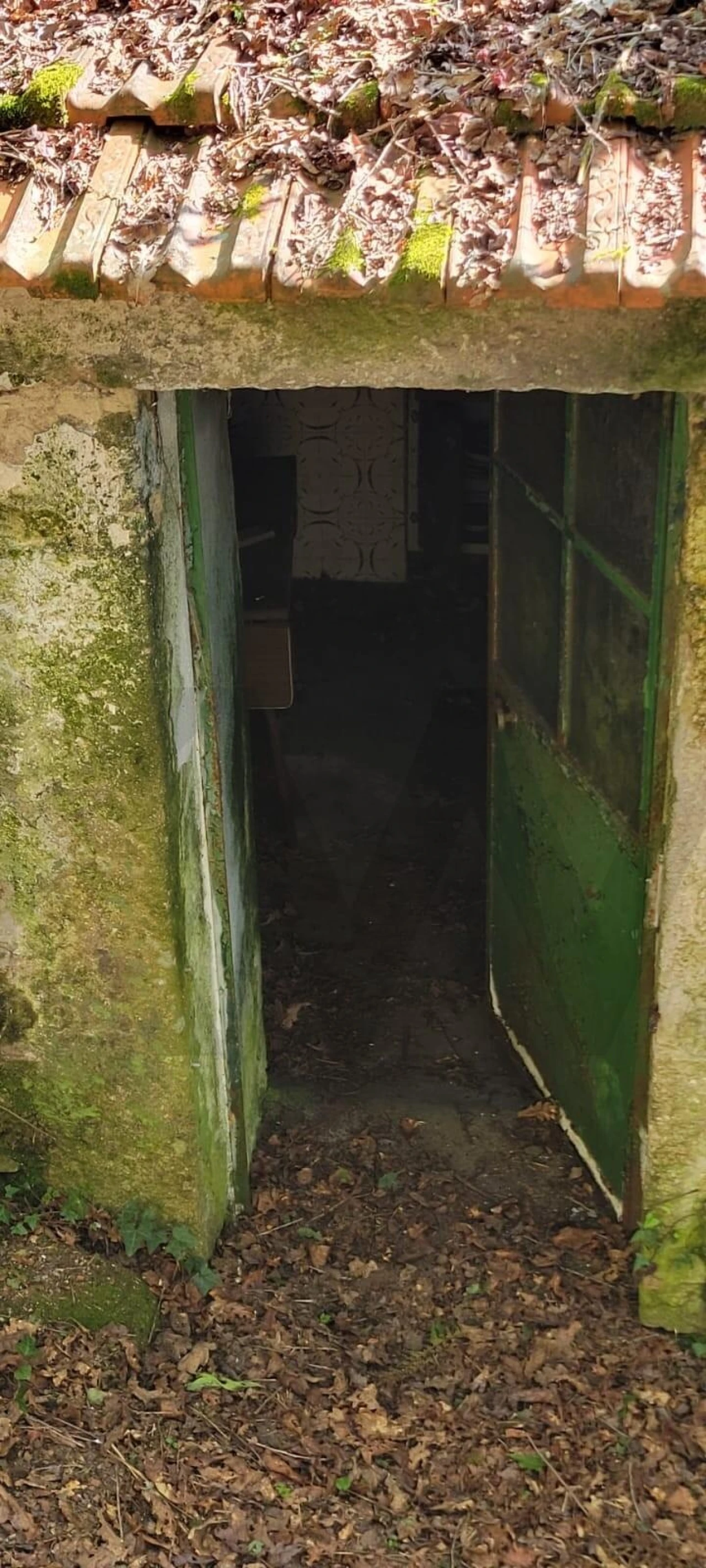 Quinta T1 para Venda em Formariz e Ferreira Foto 23