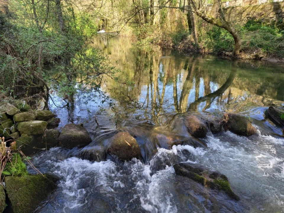 Quinta T1 para Venda em Formariz e Ferreira Foto 1