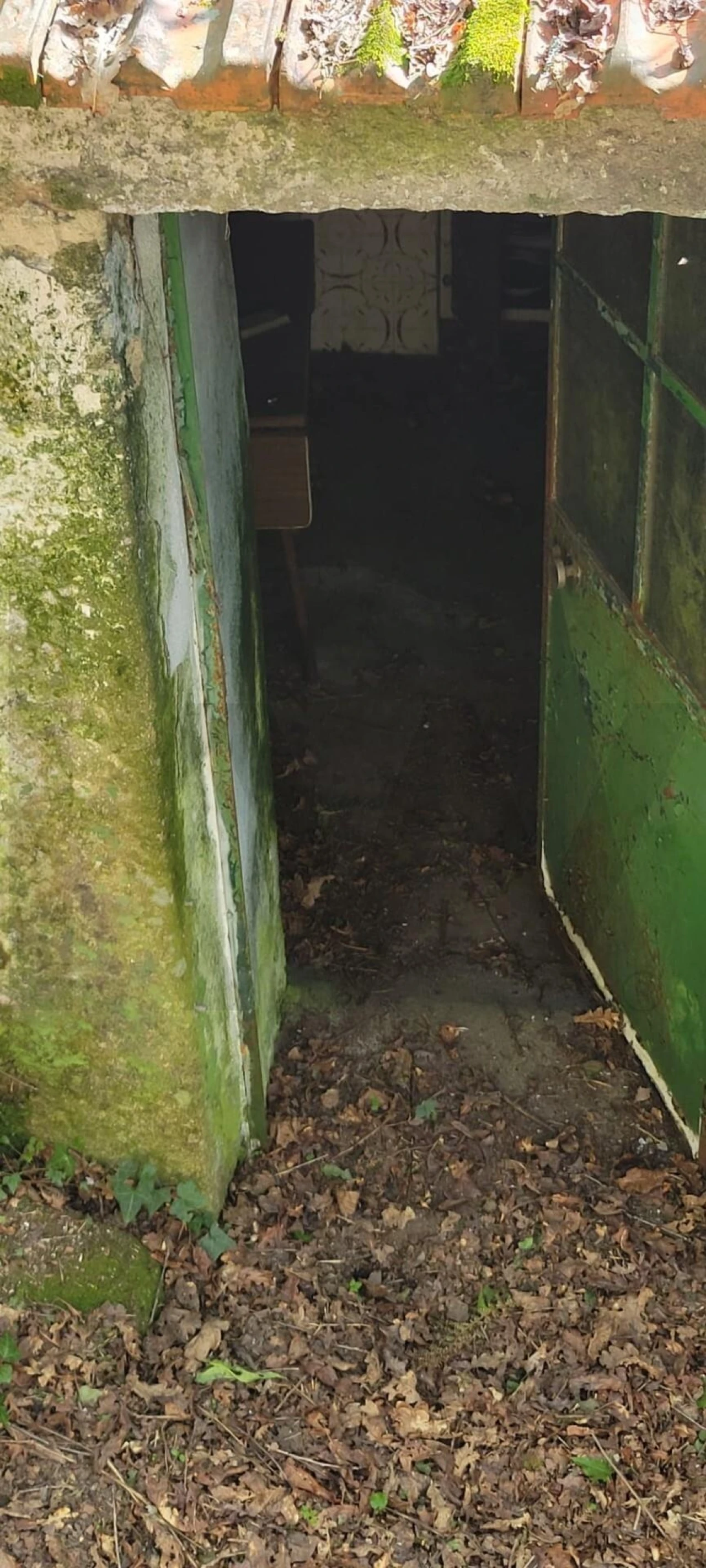 Quinta T1 para Venda em Formariz e Ferreira Foto 25