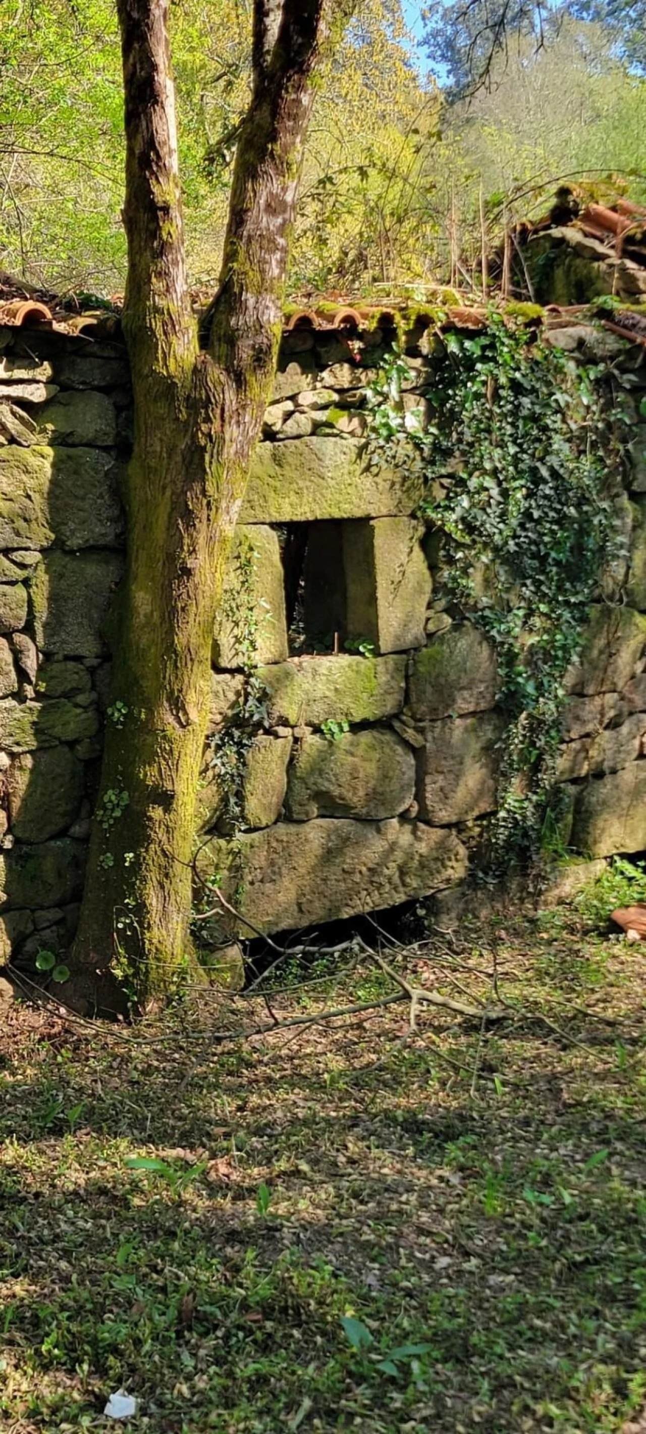 Quinta T1 para Venda em Formariz e Ferreira Foto 28