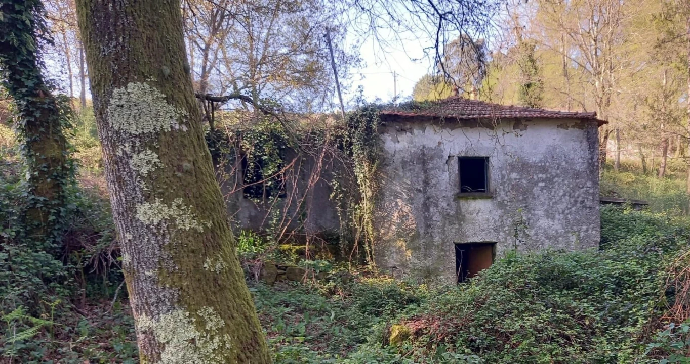 Quinta T1 para Venda em Formariz e Ferreira Foto 10
