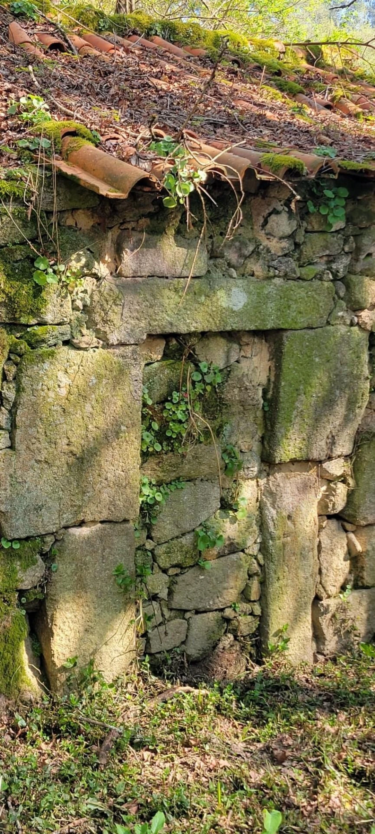 Quinta T1 para Venda em Formariz e Ferreira Foto 27