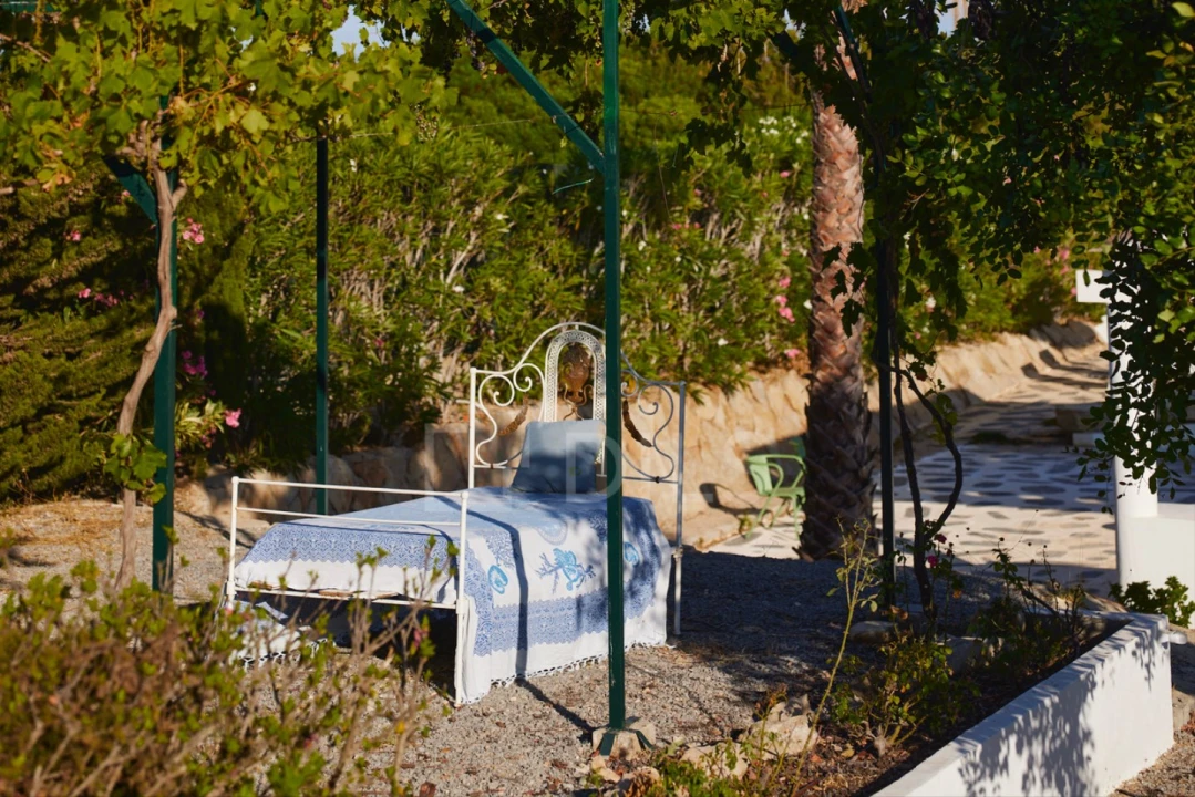 Quinta T15 para Venda em Moncarapacho e Fuseta Foto 61