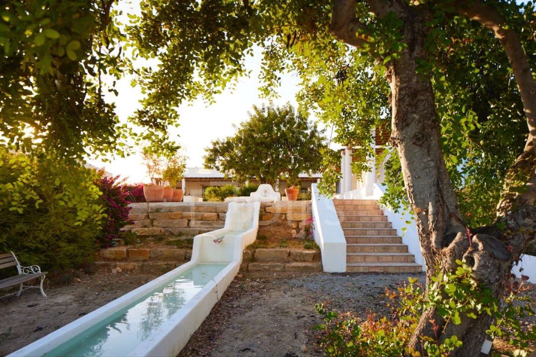 Quinta T15 para Venda em Moncarapacho e Fuseta Foto 56