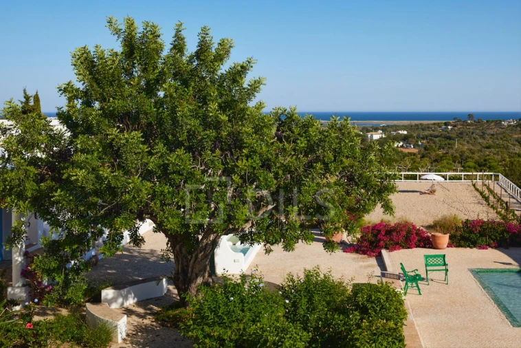 Quinta T15 para Venda em Moncarapacho e Fuseta Foto 54