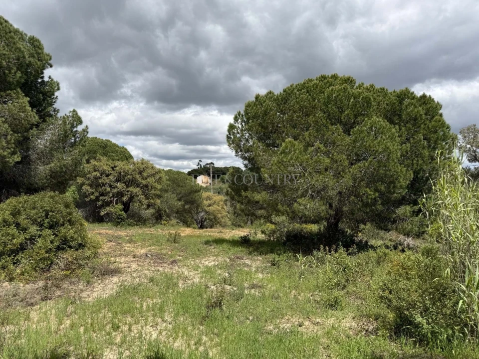 Terreno para Venda em Lagoa e Carvoeiro Foto 17
