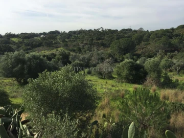 Terreno para Venda em Lagoa e Carvoeiro