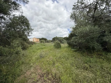 Terreno para Venda em Lagoa e Carvoeiro
