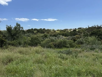 Terreno para Venda em Lagoa e Carvoeiro