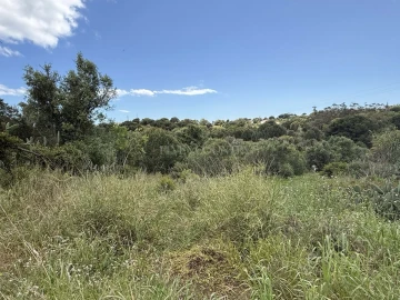 Terreno para Venda em Lagoa e Carvoeiro