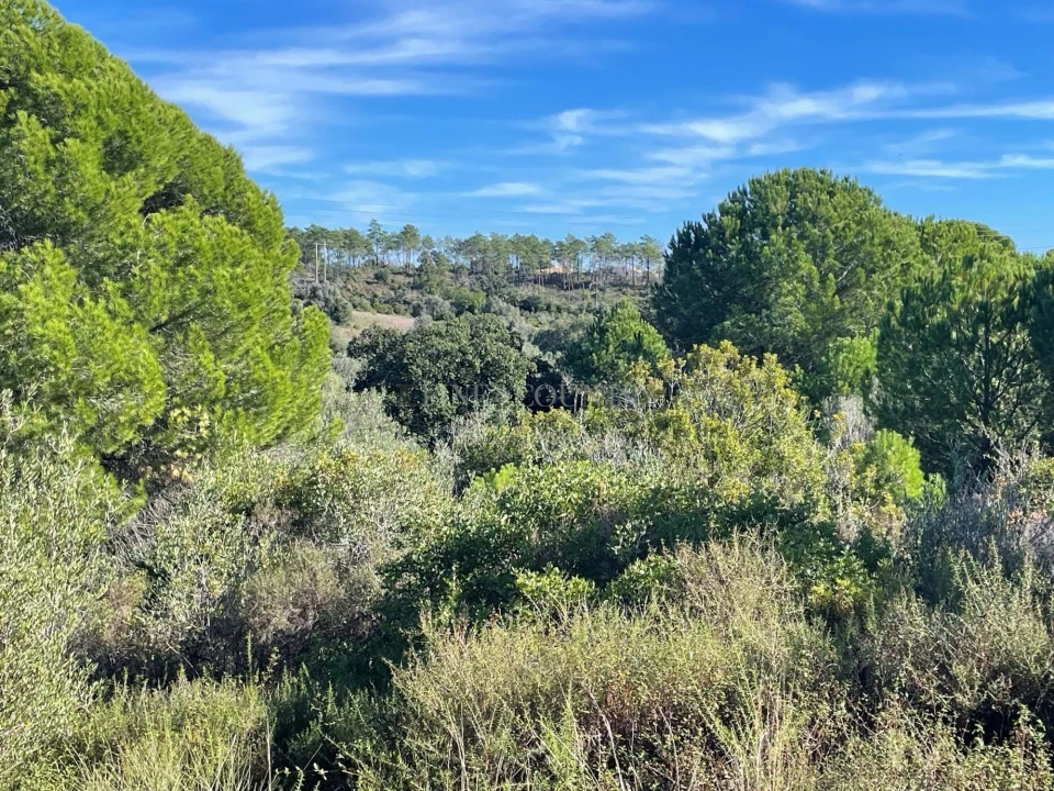 Terreno para Venda em Lagoa e Carvoeiro Foto 12