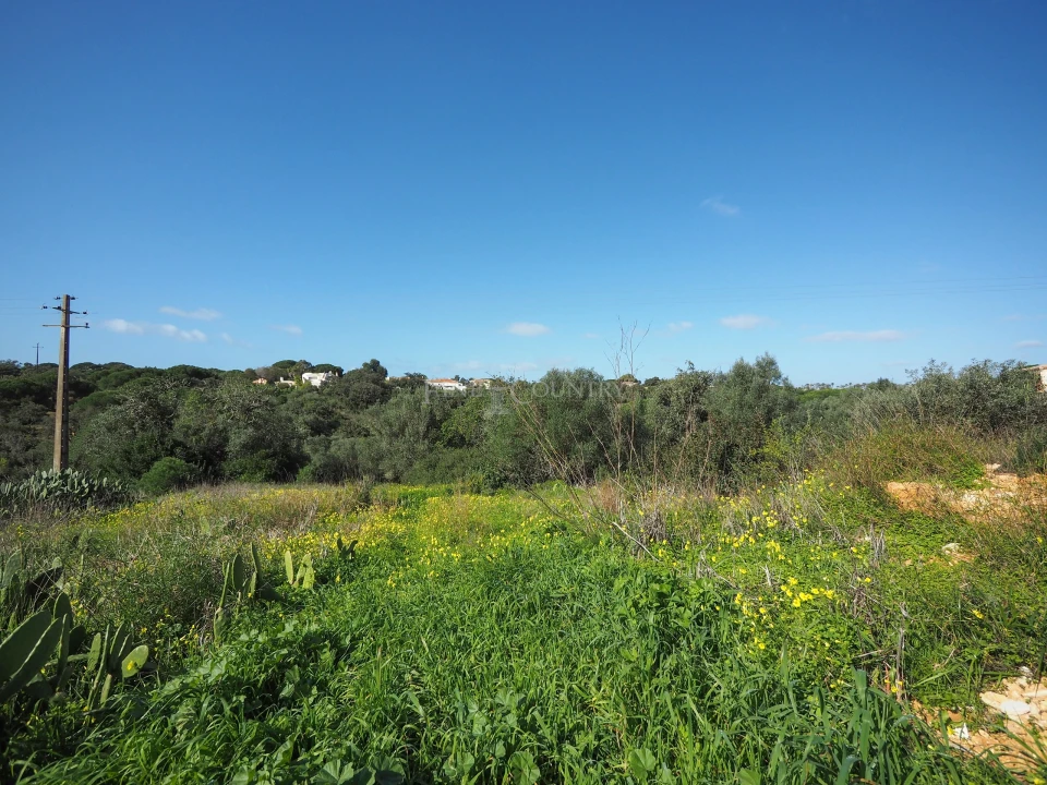 Terreno para Venda em Lagoa e Carvoeiro Foto 7