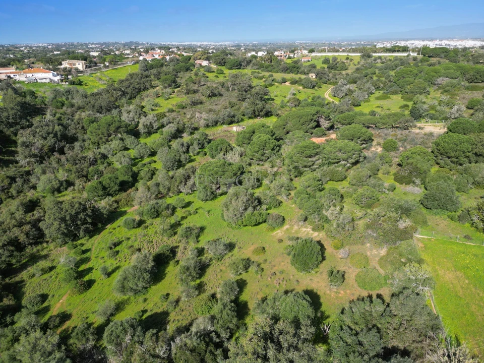 Terreno para Venda em Lagoa e Carvoeiro Foto 6