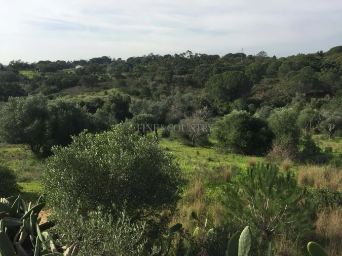 Terreno para Venda em Lagoa e Carvoeiro Foto 10