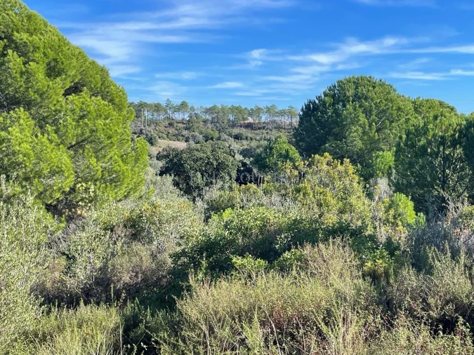 Terreno para Venda em Lagoa e Carvoeiro Foto 12