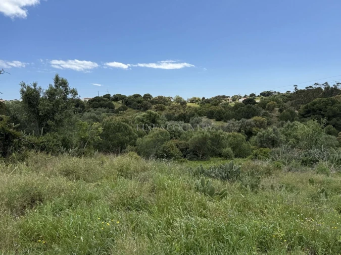 Terreno para Venda em Lagoa e Carvoeiro Foto 20