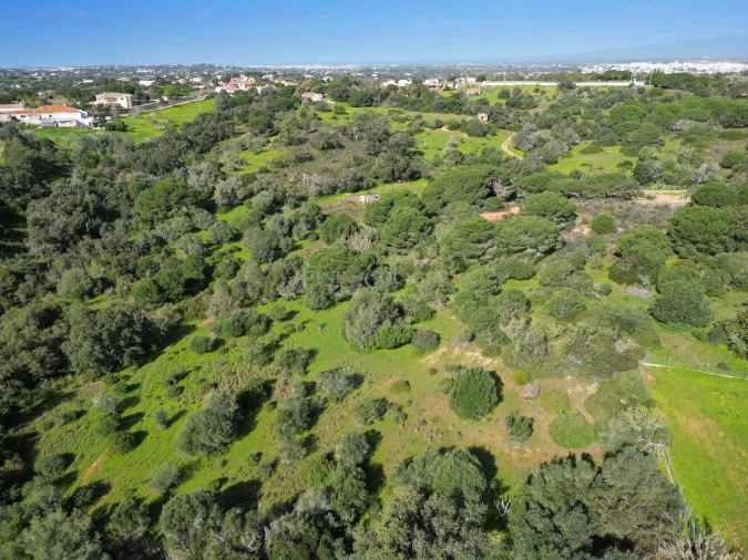 Terreno para Venda em Lagoa e Carvoeiro Foto 6