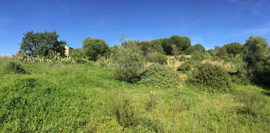 Terreno para Venda em Lagoa e Carvoeiro Foto 11