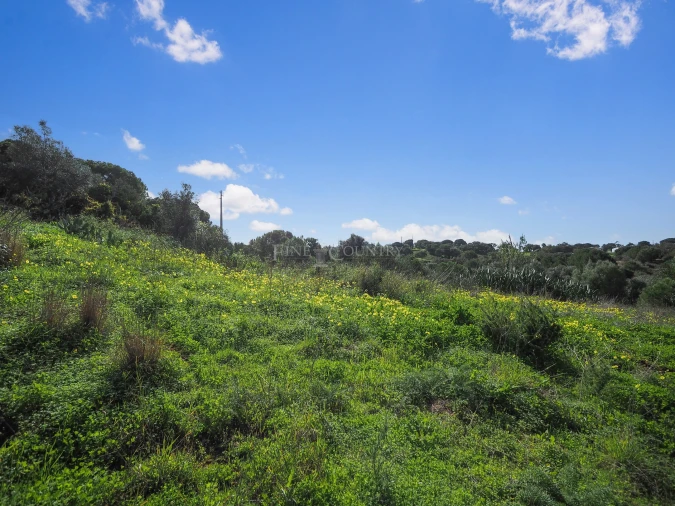 Terreno para Venda em Lagoa e Carvoeiro Foto 8