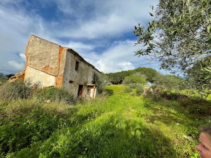 Terreno para Venda em Lagoa e Carvoeiro Foto 13