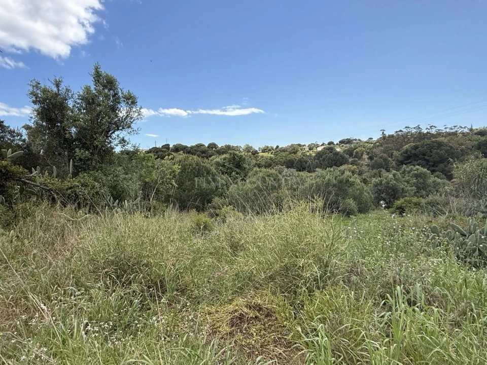 Terreno para Venda em Lagoa e Carvoeiro Foto 19