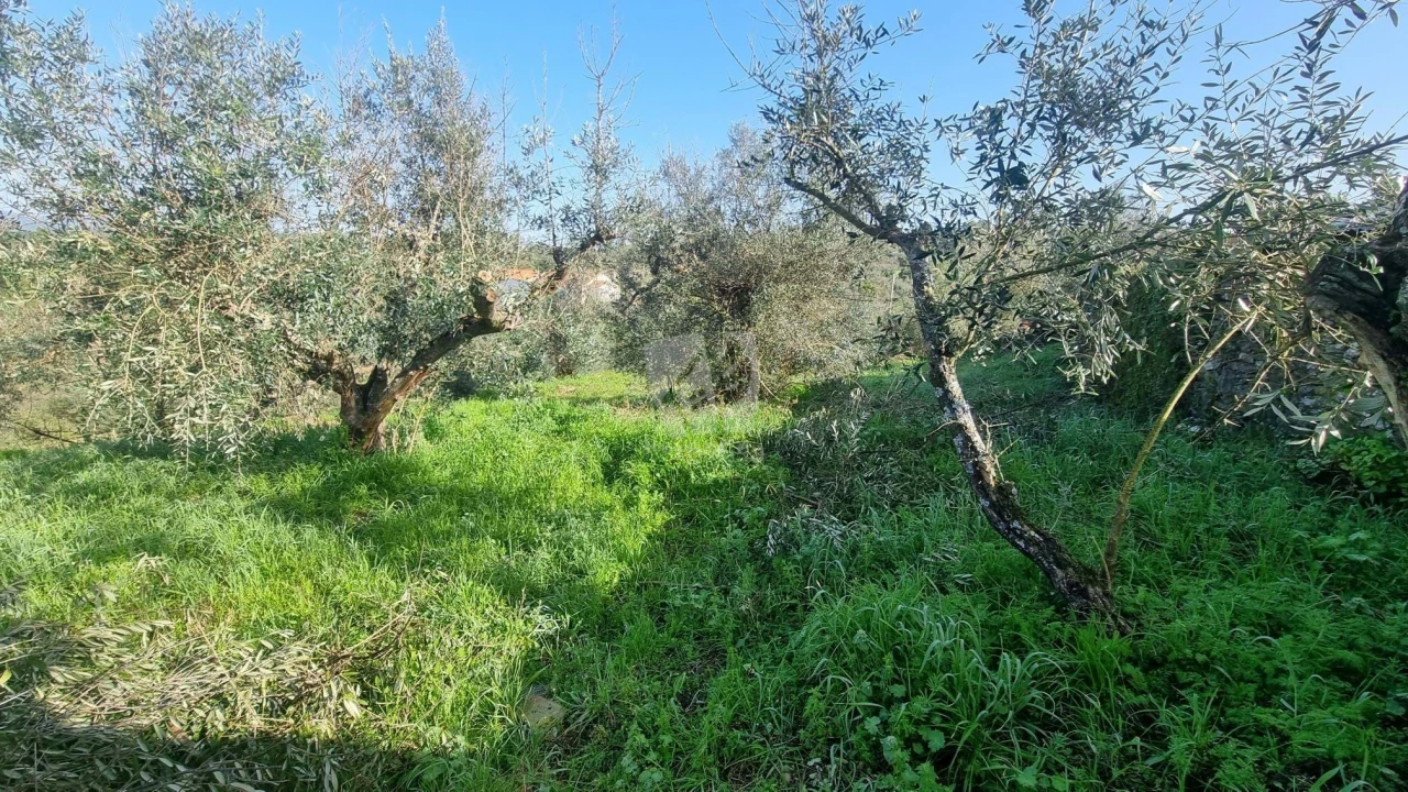 Terreno para Venda em Santo Andre das Tojeiras Foto 13