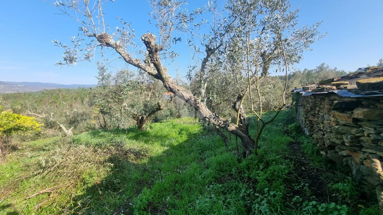 Terreno para Venda em Santo Andre das Tojeiras Foto 14