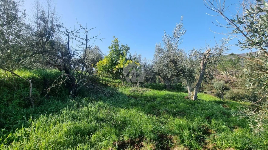 Terreno para Venda em Santo Andre das Tojeiras Foto 11