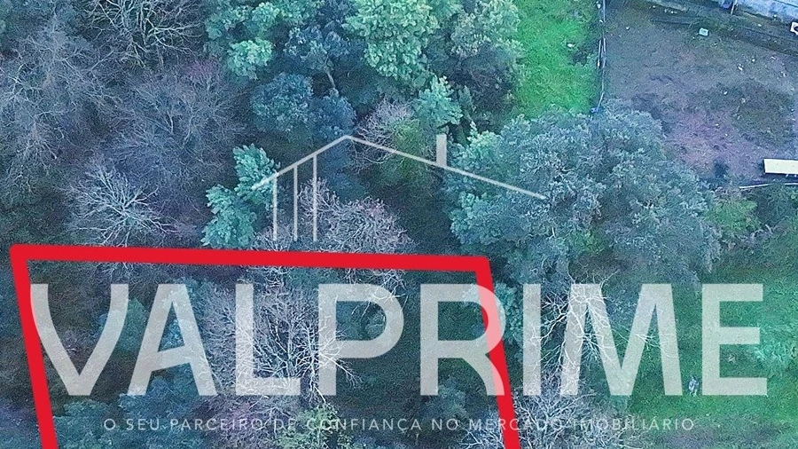 Terreno Agricola ou Rústico para Venda em Gandra