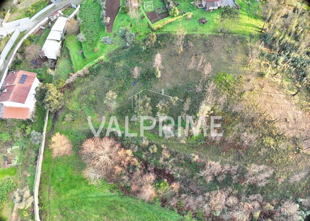 Terreno Agricola ou Rústico para Venda em Aguiar de Sousa Foto 6