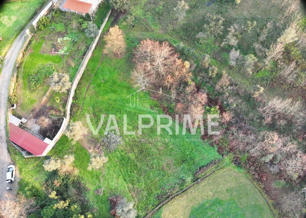 Terreno Agricola ou Rústico para Venda em Aguiar de Sousa Foto 4