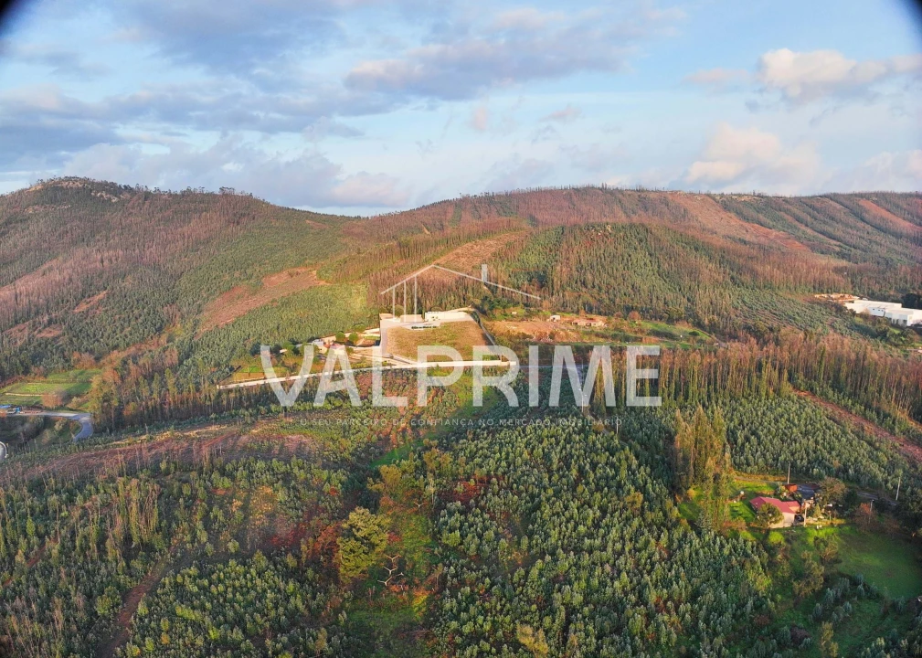 Terreno Agricola ou Rústico para Venda em Aguiar de Sousa Foto 32