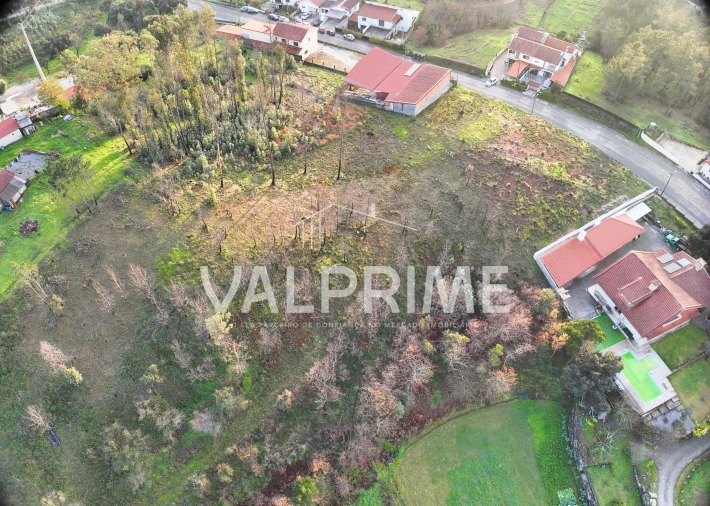 Terreno Agricola ou Rústico para Venda em Aguiar de Sousa Foto 9