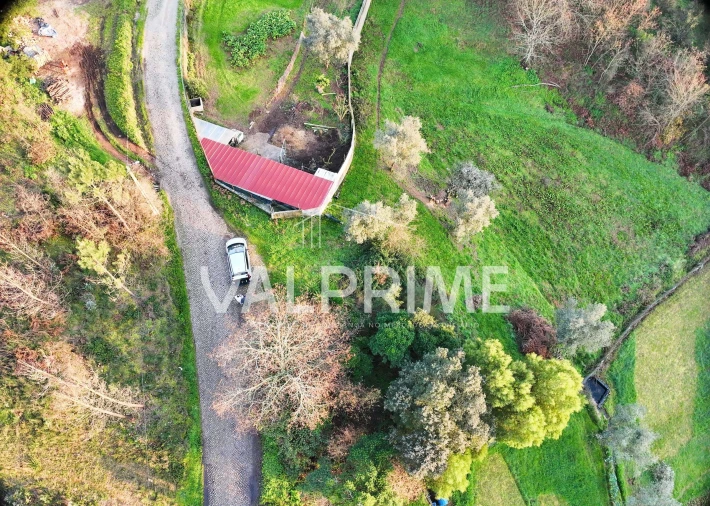 Terreno Agricola ou Rústico para Venda em Aguiar de Sousa Foto 3