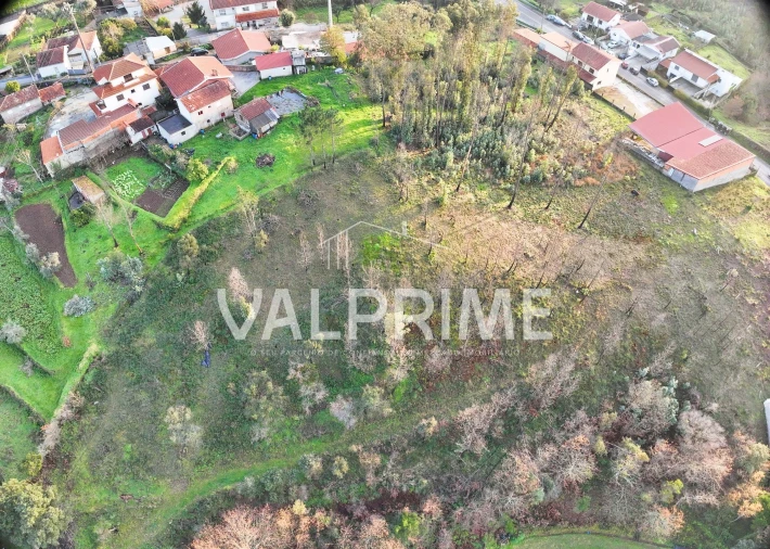 Terreno Agricola ou Rústico para Venda em Aguiar de Sousa Foto 7