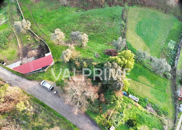 Terreno Agricola ou Rústico para Venda em Aguiar de Sousa Foto 2