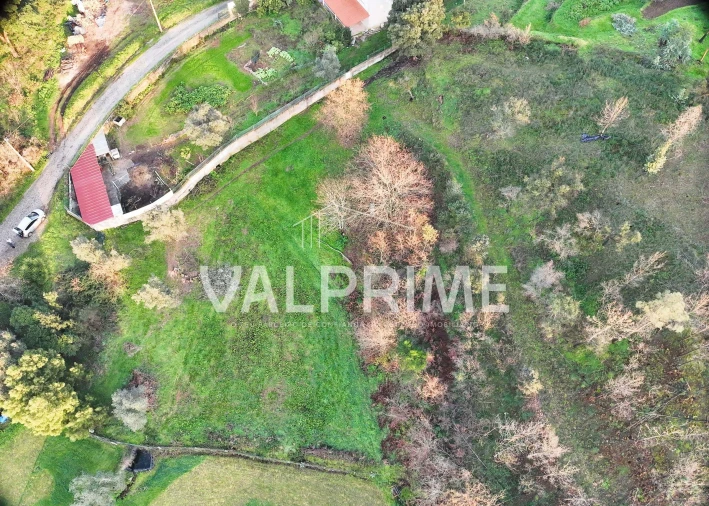 Terreno Agricola ou Rústico para Venda em Aguiar de Sousa Foto 5