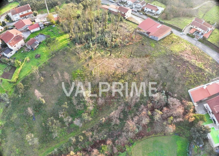 Terreno Agricola ou Rústico para Venda em Aguiar de Sousa Foto 8
