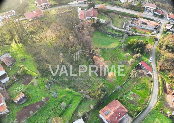 Terreno Agricola ou Rústico para Venda em Aguiar de Sousa Foto 14