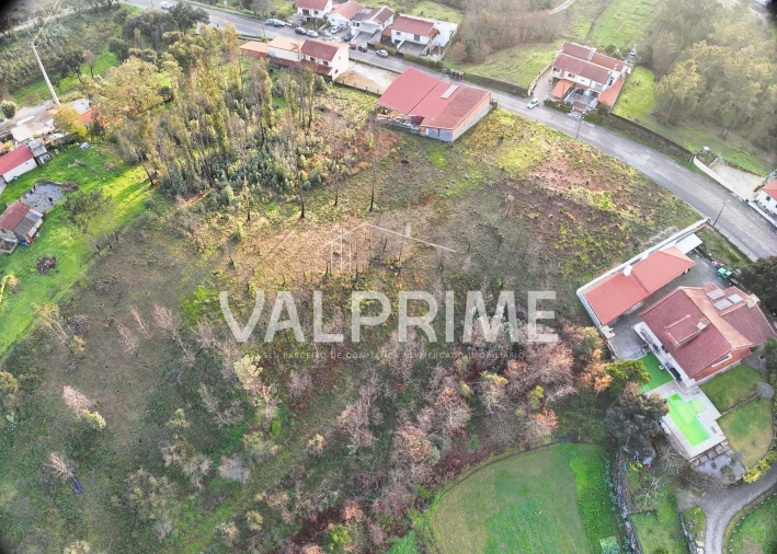 Terreno Agricola ou Rústico para Venda em Aguiar de Sousa Foto 10